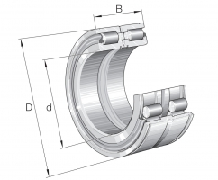 INA SL045036-D-PP